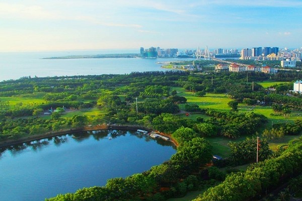 新埠島—世紀(jì)大橋—西海岸會展中心