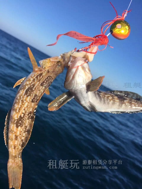 datu大連11.jpg